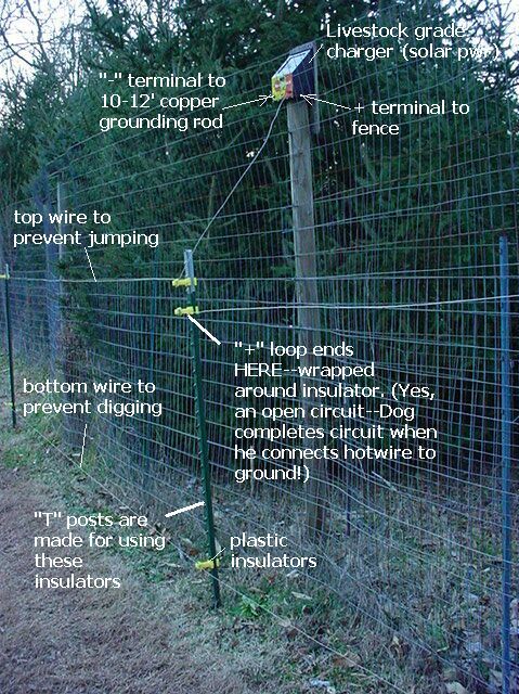 Cattle panel clearance dog fence